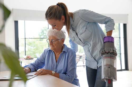 DomesticAssistanceCleaning--325562011-BSP Domestic Assistance Cleaning