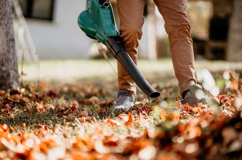Gardening-264246163-BSP Gardening - Blowing Leaves