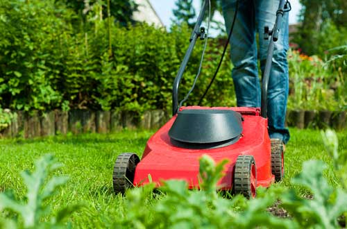 Gardening-32106044-BSP Gardening - Mowing Lawn